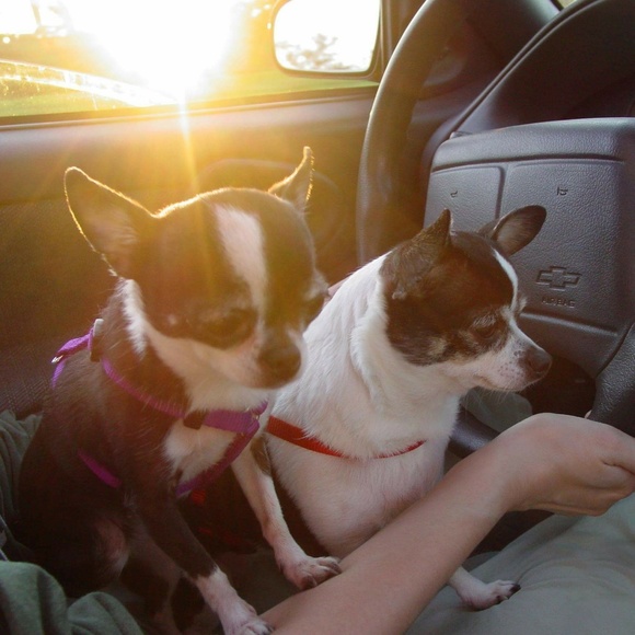 Meet your Posher, Mary - Picture 5 of 8